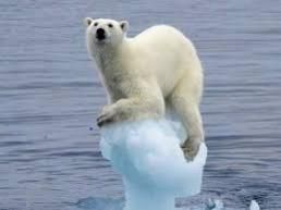 Effondrement d’un mythe : Les scientifiques abandonnent la théorie du réchauffement climatique pour celle du refroidissement global