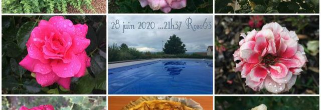 Lundi 29 Juin 2020