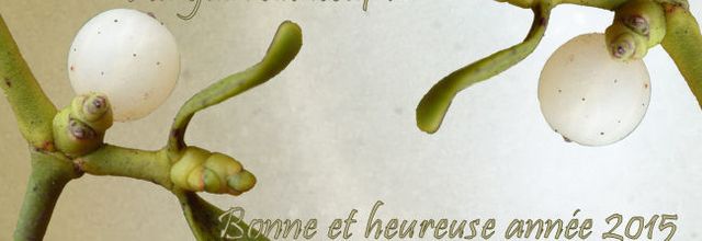 Nouvelle année