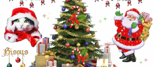 DANS UN MOIS NOEL 