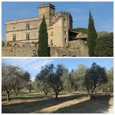 Visiter le CHATEAU DE LOURMARIN