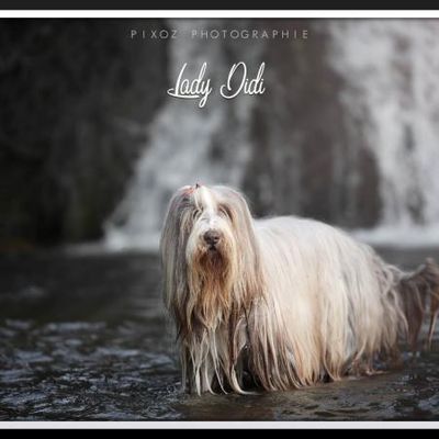 Joyeux Anniversaire Didi jolie ♥ 15 ans !  