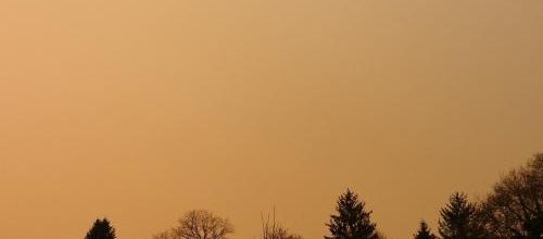 ... hier matin...