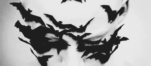 halloween et vacances 