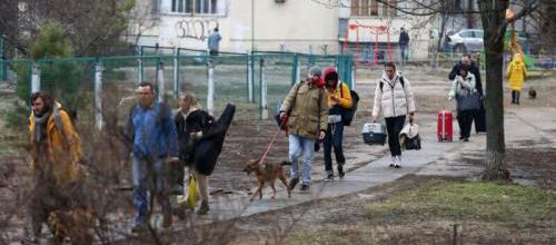 Conditions d'accueil des animaux ukrainiens