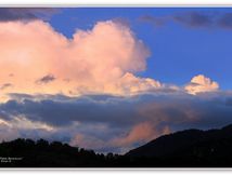 La Palette "du Peintre"