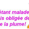 On se demande s'il y a un pilote dans ce drôle de pays?