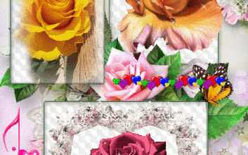 CADRES AVEC DE BELLE ROSES CHATON