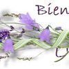 Grille gratuite - Eté !  et cartonnettes.... 2014