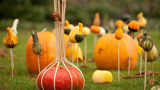 "Splendeurs d'automne" à Chaumont 2014