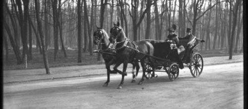 Quand la SPA appelait à manger du cheval 