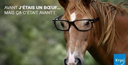 Humour sur la viande de boeuf devenue viande de cheval