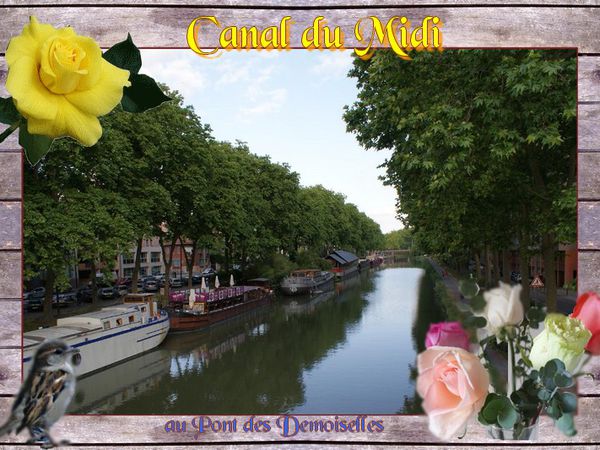  Une autre fois le long du Canal du Midi mais d'bord au plus prè:; le Jardin Japonais