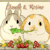 1166 lapin - 1167 fée cœur- Réception 11 -