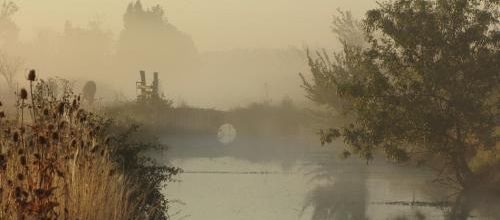 ... un petit matin brumeux...