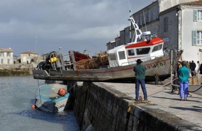 ☻ Une semaine à l'île de Ré (2010) : Ré après Xynthia