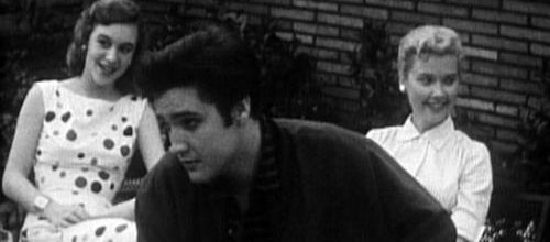 photo elvis -staley - Y lime 