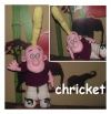 chricket