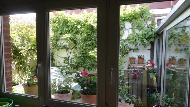 De mon jardinet