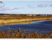 Paysage de Camargue