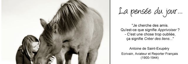 La pensée du jour (245)