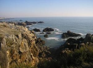 Le CROISIC la côte sauvage