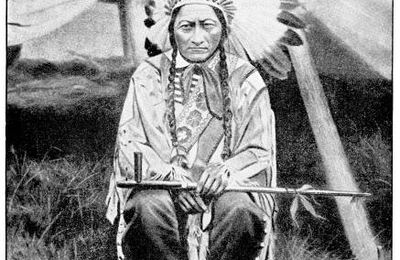 Sitting Bull Chief !