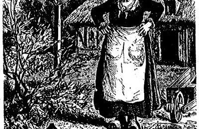 La poule qui a couvé des oeufs de cane - Kergomard 50 images expliquées n°6