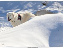 La mélodie de la neige #2