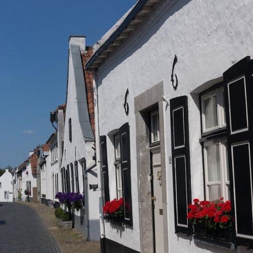 Thorn la ville blanche.