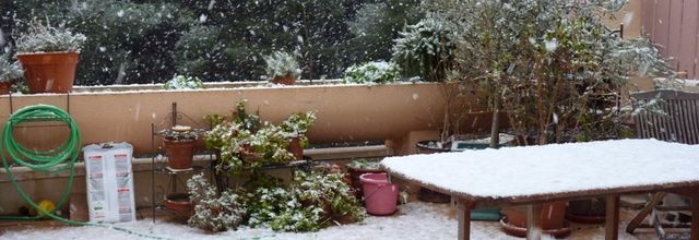 IL NEIGE!