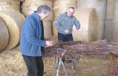 Le secret du roi des chienlits....