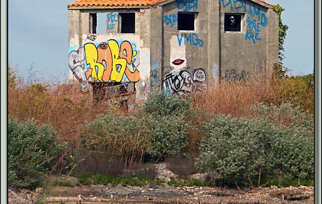 Tags en Ré - La Couarde-sur-mer - Ile de Ré - 17