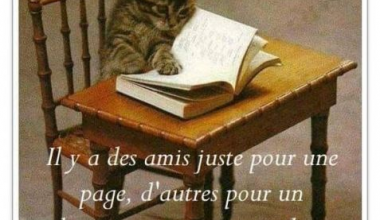 L'amitié comme un livre