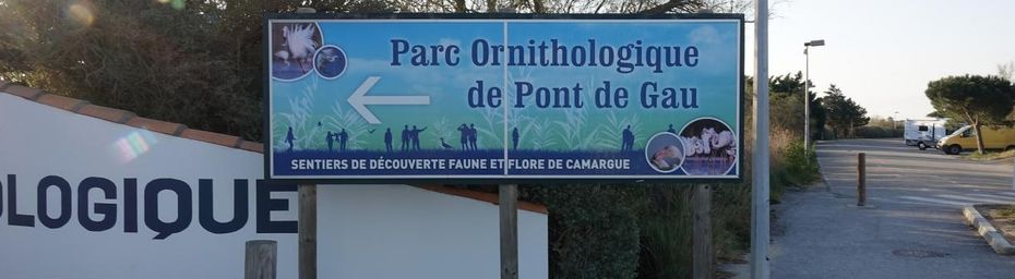 Échappée photos en Camargue #2