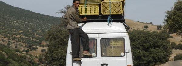 Transports en commun