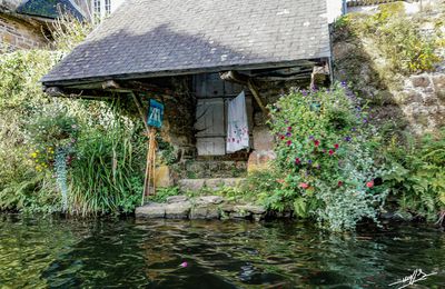 29 et plus (2023) : Quand on veut lavoir... 2/2