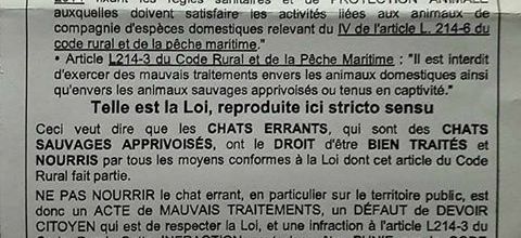 Loi en faveur des chats errants