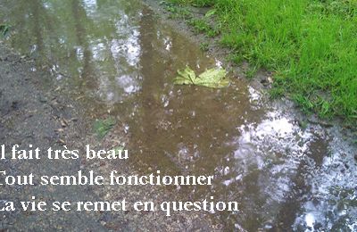 Les technopoèmes