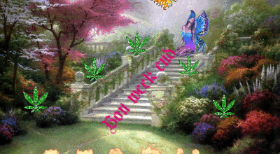 BON WEEK END
