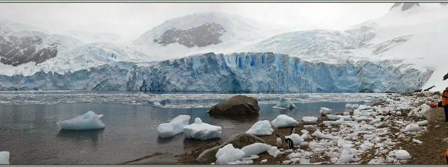 09/03/2022 : nous posons enfin les pieds sur le continent Antarctique lui-même, sur la plage de Néko Harbor, il était temps vu que c'est le dernier jour ! - Terre de Graham