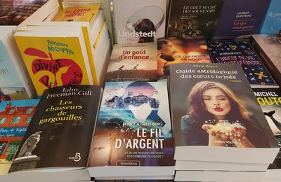 Le roman de Rebecca: "Le fil d'argent" en vente dans les librairies et espaces culturels !