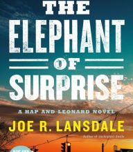 Electronic books download The Elephant of Surprise