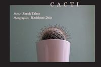 Livres Kindle à télécharger gratuitement pour ipad Cacti MOBI 9782373553949 par Zorah Tahar, Madeleine Dole (Litterature Francaise)