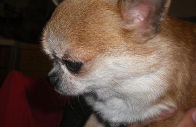 Photos