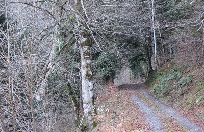 Le chemin