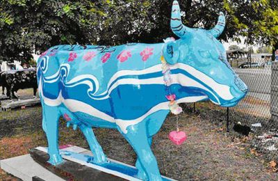 La vache Belhara : volée et retrouvée...