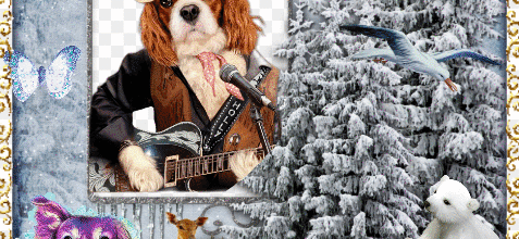 CHIEN GUITARE ANIMAUX NEIGE
