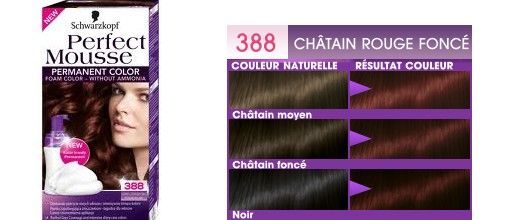 ღ Revue | Perfect Mousse, la mousse pas si parfaite que ça...