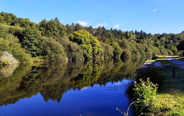 défi reflets d'Annie n°4 BIS